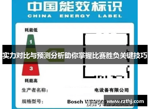 实力对比与预测分析助你掌握比赛胜负关键技巧