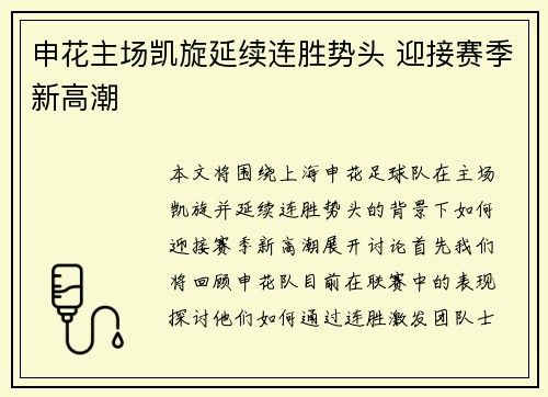 申花主场凯旋延续连胜势头 迎接赛季新高潮