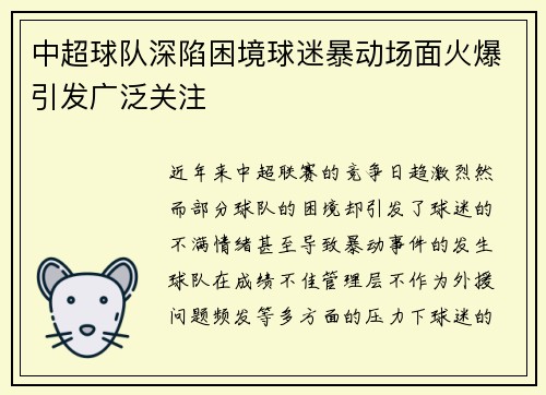中超球队深陷困境球迷暴动场面火爆引发广泛关注