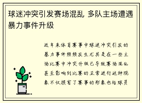 球迷冲突引发赛场混乱 多队主场遭遇暴力事件升级